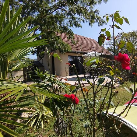 Gîte L'Albizia 3 épis Saint-Maurice-en-Riviere Exterior foto